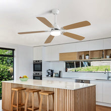 Load image into Gallery viewer, indoor Modern 52 Inch Ceiling Fan With Dimmable 6 Speed Wind 5 Blades Remote Control Reversible DC Motor With Led Light