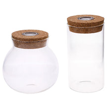 Load image into Gallery viewer, 11cm Round Glass Jar Terrarium with Colorful LED Light Cork