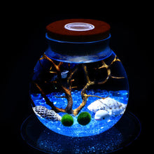 Load image into Gallery viewer, 11cm Round Glass Jar Terrarium with Colorful LED Light Cork