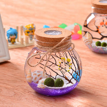 Load image into Gallery viewer, 11cm Round Glass Jar Terrarium with Colorful LED Light Cork