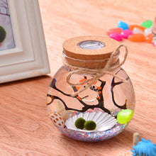 Load image into Gallery viewer, 11cm Round Glass Jar Terrarium with Colorful LED Light Cork