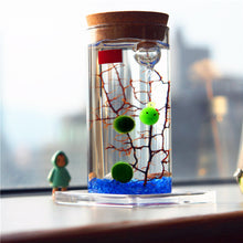 Load image into Gallery viewer, 12cm Glass Bottle Jar Hydroponic Terrarium Container Light LED Cork Stopper