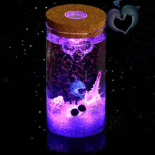 Load image into Gallery viewer, 12cm Glass Bottle Jar Hydroponic Terrarium Container Light LED Cork Stopper
