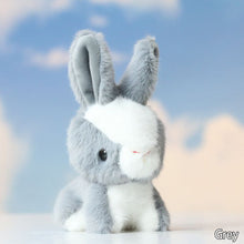 Load image into Gallery viewer, 14cm Stuffed Long Ear Rabbit Soft Plush Toys Sleeping Cute Bunny Cartoon Animal Dolls Children Baby Birthday Gift