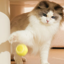 Load image into Gallery viewer, Flower Shape Smart Cat Toys with Light Automatic Rolling Ball Electric Cat Interactive Toys Cats Training Self-moving Kitten Toys for Indoor Playing