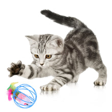 Load image into Gallery viewer, 20pcs Cat Teaser Wand with Replacement Pendant Pet Interactive Feather Toys Kitten Simulated Mouse Catching Toy Cats Daily Accessories