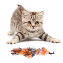 Load image into Gallery viewer, 20pcs Cat Teaser Wand with Replacement Pendant Pet Interactive Feather Toys Kitten Simulated Mouse Catching Toy Cats Daily Accessories