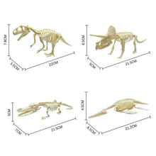 Load image into Gallery viewer, Simulation Dinosaur Fossil Plastic Skeleton Model Children's DIY Handmade Dinosaur Skeleton Assembly Kit Tyrannosaurus Rex Model