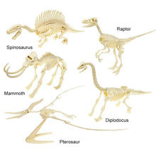 Load image into Gallery viewer, Simulation Dinosaur Fossil Plastic Skeleton Model Children's DIY Handmade Dinosaur Skeleton Assembly Kit Tyrannosaurus Rex Model