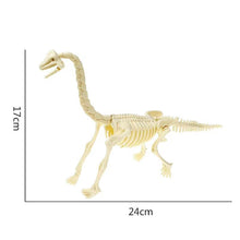 Load image into Gallery viewer, Simulation Dinosaur Fossil Plastic Skeleton Model Children's DIY Handmade Dinosaur Skeleton Assembly Kit Tyrannosaurus Rex Model