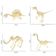 Load image into Gallery viewer, Simulation Dinosaur Fossil Plastic Skeleton Model Children's DIY Handmade Dinosaur Skeleton Assembly Kit Tyrannosaurus Rex Model