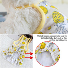 Load image into Gallery viewer, Summer Dog Dress Pet Skirts Pet Clothes Comfortable Soft Puppuy Dogs Cats Vest Dress Pet Clothes