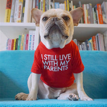 Load image into Gallery viewer, Fashion Letters Printed Summer Dog T-shirt Pure Cotton Dog Clothes for French Bulldog Soft Breathable Pet Costume