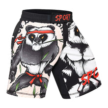 Load image into Gallery viewer, Men Women Mma Muay Thai Shorts Breathable Fitness Training Boxing Shorts Fight Kickboxing Boxing Pants