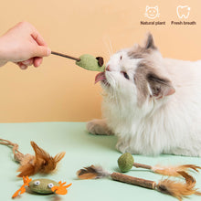 Load image into Gallery viewer, Catnip Cat Toy Safety Molar Teeth Cleaning Stick Cleaning Teeth Cat Snacks Kitten Toys Pet Supplies