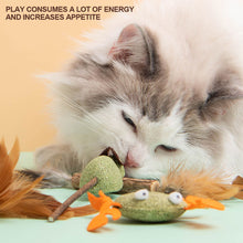 Load image into Gallery viewer, Catnip Cat Toy Safety Molar Teeth Cleaning Stick Cleaning Teeth Cat Snacks Kitten Toys Pet Supplies