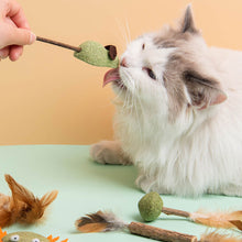 Load image into Gallery viewer, Catnip Cat Toy Safety Molar Teeth Cleaning Stick Cleaning Teeth Cat Snacks Kitten Toys Pet Supplies