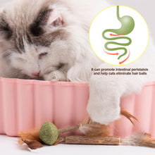 Load image into Gallery viewer, Catnip Cat Toy Safety Molar Teeth Cleaning Stick Cleaning Teeth Cat Snacks Kitten Toys Pet Supplies
