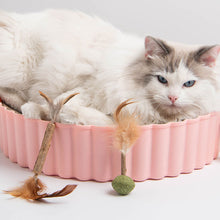 Load image into Gallery viewer, Catnip Cat Toy Safety Molar Teeth Cleaning Stick Cleaning Teeth Cat Snacks Kitten Toys Pet Supplies