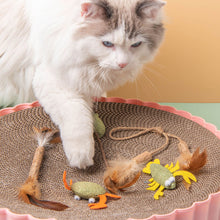 Load image into Gallery viewer, Catnip Cat Toy Safety Molar Teeth Cleaning Stick Cleaning Teeth Cat Snacks Kitten Toys Pet Supplies