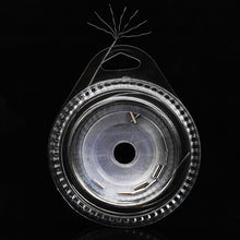 Load image into Gallery viewer, 10M 7 Strands Braid 10LB-200LB Stainless Steel Wire Super Strong Fishing Line