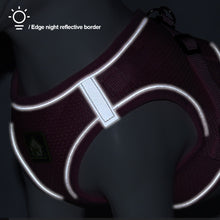 Load image into Gallery viewer, Dog Cat Harness Set Pet Adjustable Walking Reflective Vest with Leash Breathable Mesh Harness for Small Medium Dog