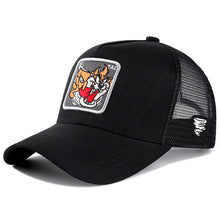 Load image into Gallery viewer, Animation Styles Cotton Baseball Cap Men Women Hip Hop Mesh Hat