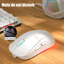 Load image into Gallery viewer, G301 Rechargeable USB 2.4G Wireless Bluetooth RGB Light Gaming Mouse Desktop PC Computers Notebook Laptop Mice Mause Gamer Cute