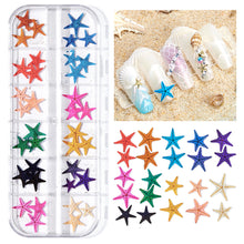 Load image into Gallery viewer, 12 Grids/set Ocean Series Nail Art Ornaments Shell Slices Starfish Pearl Metal Rivets Multiple Styles Manicure Decoration
