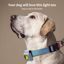Load image into Gallery viewer, LED Silicone Clothespin Running Light Multi-Purpose Camping Night Riding Fishing Walking Dog Waterproof Safety Warning Light Portable With Magnetic Suction Usb Rechargeable Head Wearing Burner