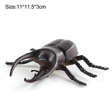 Load image into Gallery viewer, 1Pc Simulated Wild Animal Insects Figurine Beetles Spiders Mantis Longicorn Prank Educational Toy Model Action Figure Children's Toy