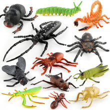 Load image into Gallery viewer, 1Pc Simulated Wild Animal Insects Figurine Beetles Spiders Mantis Longicorn Prank Educational Toy Model Action Figure Children's Toy