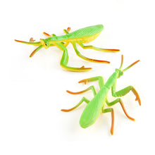 Load image into Gallery viewer, 1Pc Simulated Wild Animal Insects Figurine Beetles Spiders Mantis Longicorn Prank Educational Toy Model Action Figure Children's Toy