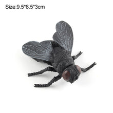 Load image into Gallery viewer, 1Pc Simulated Wild Animal Insects Figurine Beetles Spiders Mantis Longicorn Prank Educational Toy Model Action Figure Children's Toy