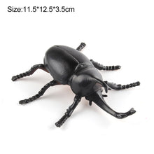 Load image into Gallery viewer, 1Pc Simulated Wild Animal Insects Figurine Beetles Spiders Mantis Longicorn Prank Educational Toy Model Action Figure Children's Toy