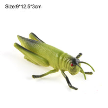 Load image into Gallery viewer, 1Pc Simulated Wild Animal Insects Figurine Beetles Spiders Mantis Longicorn Prank Educational Toy Model Action Figure Children's Toy