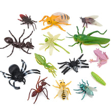 Load image into Gallery viewer, Simulated Wild Animal Insects Set Figurine Beetles Spiders Mantis Longicorn Prank Educational Toy Model Action Figure Children's Toy