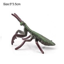 Load image into Gallery viewer, 1Pc Simulated Wild Animal Insects Figurine Beetles Spiders Mantis Longicorn Prank Educational Toy Model Action Figure Children's Toy