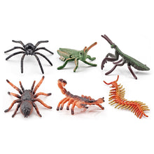 Load image into Gallery viewer, 1Pc Simulated Wild Animal Insects Figurine Beetles Spiders Mantis Longicorn Prank Educational Toy Model Action Figure Children's Toy