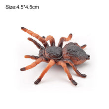Load image into Gallery viewer, 1Pc Simulated Wild Animal Insects Figurine Beetles Spiders Mantis Longicorn Prank Educational Toy Model Action Figure Children's Toy