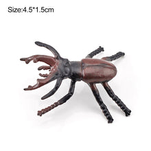 Load image into Gallery viewer, 1Pc Simulated Wild Animal Insects Figurine Beetles Spiders Mantis Longicorn Prank Educational Toy Model Action Figure Children's Toy