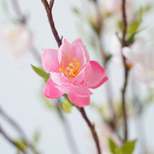 Load image into Gallery viewer, 3Forks Plum Blossom Artificial Flowers Branch Silk Artificial Flowers Home Wedding Decoration Flores Artificial Flower
