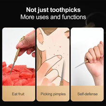 Load image into Gallery viewer, Multi-Purpose Titanium Outdoor EDC Portable Toothpick Bottle Fruit Fork Camping Tool Toothpick Tube Is More Durable Than Floss