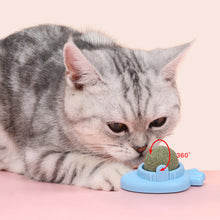 Load image into Gallery viewer, Cat Mint Ball Rotating Ball Wall Cat Toy Accessories for Cats Games Catnip Licking Snacks Mint Freshen Breath Pet Supplies