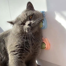 Load image into Gallery viewer, Cat Mint Ball Rotating Ball Wall Cat Toy Accessories for Cats Games Catnip Licking Snacks Mint Freshen Breath Pet Supplies