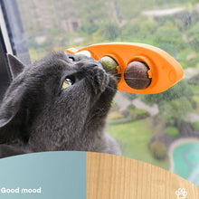 Load image into Gallery viewer, Cat Mint Ball Rotating Ball Wall Cat Toy Accessories for Cats Games Catnip Licking Snacks Mint Freshen Breath Pet Supplies