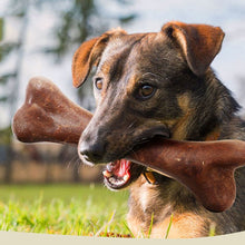 Load image into Gallery viewer, Natural Non-Toxic Pet Dog Chew Toy Bone Molar Stick Bite Resistant Puppy Teething Toys Dental Cleaning Toy or Small Large Dogs