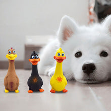 Load image into Gallery viewer, Bite Resistant Pet Screaming Chicken Sound Toy Dog Chewing Squeaky Toy Pet Teeth Training Molar Toys Dog Chew Toy with Squeaker