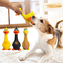 Load image into Gallery viewer, Bite Resistant Pet Screaming Chicken Sound Toy Dog Chewing Squeaky Toy Pet Teeth Training Molar Toys Dog Chew Toy with Squeaker