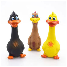 Load image into Gallery viewer, Bite Resistant Pet Screaming Chicken Sound Toy Dog Chewing Squeaky Toy Pet Teeth Training Molar Toys Dog Chew Toy with Squeaker